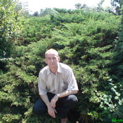 ���������� ������ ���, ���� ������� ����, 60 ���, ������������ ��� ������, ����� � ���������, c�������� ���������