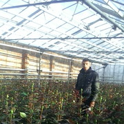  ,   Vahram, 38 ,   
