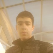  ,   Jahongir, 33 ,     , c 