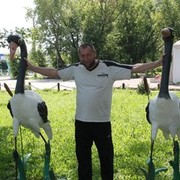 ���������� ���������, ���� ������� ������, 56 ���, ������������ ��� ������