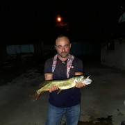 ���������� �������, ���� ������� �����, 47 ���, ������������ ��� ������, ����� � ���������, c�������� ���������