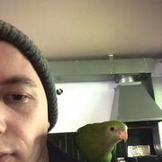  ,   , 29 ,   ,   , 