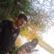 ���������� ������, ���� ������� Zim, 39 ���, ������������ ��� ������, ����� � ���������