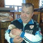 ���������� ������, ���� ������� ����, 45 ���, ������������ ��� ������, ����� � ���������, c�������� ���������