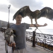 ���������� �����, ���� ������� ��������, 41 ���, ������������ ��� ������, ����� � ���������, c�������� ���������