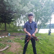 ���������� ������������, ���� ������� ����, 33 ����, ������������ ��� ������, ����� � ���������