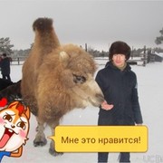 ���������� ������, ���� ������� �������, 43 ����, ������������ ��� ������, ����� � ���������, c�������� ���������