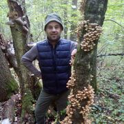 ���������� �����������, ���� ������� ���������, 43 ����, ������������ ��� ������, ����� � ���������