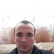  -,  , 41