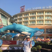 ���������� �����, ���� ������� �������, 64 ����, ������������ ��� c�������� ���������