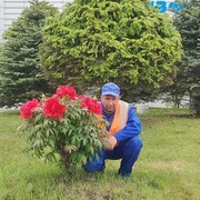  ,   , 48 ,   ,   