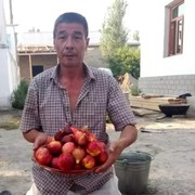 ���������� ������, ���� ������� �������, 50 ���, ������������ ��� ������, ����� � ���������, c�������� ���������, ���������