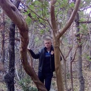 ���������� ����, ���� ������� ����, 38 ���, ������������ ��� ������, ����� � ���������, c�������� ���������