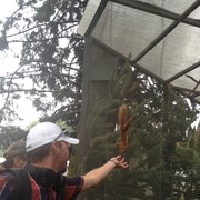 ���������� �������, ���� ������� Alex, 39 ���, ������������ ��� ������, ����� � ���������, c�������� ���������