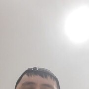   ,  , 33