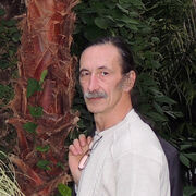  ,   Grey Angel, 65 ,     , c 
