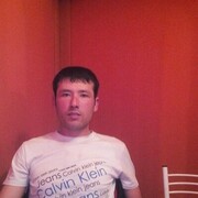 ,   Sher, 37 ,   ,   