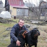 ���������� ������������, ���� ������� �������, 46 ���, ������������ ��� ����� � ���������, c�������� ���������