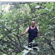  ,   Aydyn, 49 ,   ,   , 