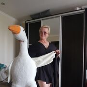 ���������� ������, ���� ������� �������, 51 ���, ������������ ��� ������, ����� � ���������