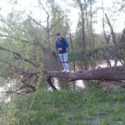  ,   Elbek, 31 ,   ,   