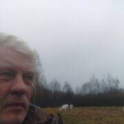 ���������� ����, ���� ������� �������, 62 ����, ������������ ��� c�������� ���������