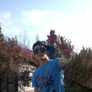 ���������� �����, ���� ������� ��������, 31 ���, ������������ ��� ������, ����� � ���������, c�������� ���������