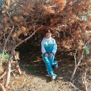 ���������� ����������, �����