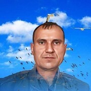  ,   , 50 ,   c , 