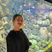 ���������� ������, ���� ������� ������, 21 ���, ������������ ��� ������, ����� � ���������, c�������� ���������