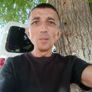 ���������� �������, ������� Alisher, 43