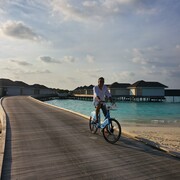 ���������� ������, ���� ������� Ricky, 41 ���, ������������ ��� ������, ����� � ���������, c�������� ���������