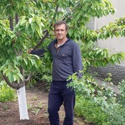 ���������� ������, ���� ������� ����, 47 ���, ������������ ��� ������, ����� � ���������, c�������� ���������