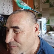  -,   , 57 ,   ,   