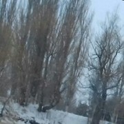  ,   , 40 ,     , c 