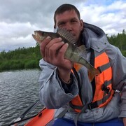 ���������� ��������, ������� ���������, 40