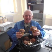 ���������� ������-��-����, ���� ������� �����, 72 ����, ������������ ��� ����� � ���������, c�������� ���������