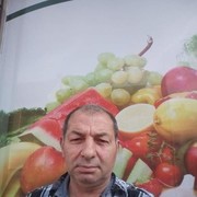  Antwerp,   Ayredin, 55 ,   ,   , c 
