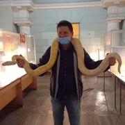 ���������� ������, ���� ������� ���������, 44 ����, ������������ ��� ����� � ���������, c�������� ���������