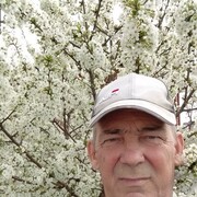   ,   , 61 ,     , 