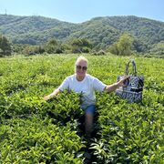 ���������� ������, ���� ������� ��������, 58 ���, ������������ ��� ����� � ���������, c�������� ���������