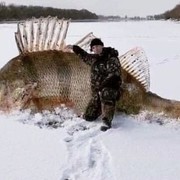 ���������� ������, ���� ������� �������, 42 ����, ������������ 