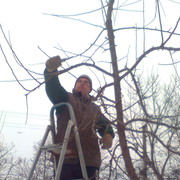 ���������� ����, ���� ������� ���������, 55 ���, ������������ ��� ������, ����� � ���������, c�������� ���������