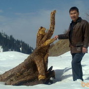 ���������� ������, ���� ������� Marat, 60 ���, ������������ ��� ������, ����� � ���������, c�������� ���������