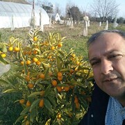  ,   , 45 ,   ,   