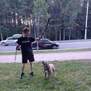 ���������� ���, ���� ������� ����, 38 ���, ������������ ��� ������, ����� � ���������