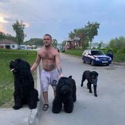 ���������� �����������, ���� ������� ����, 28 ���, ������������ ��� ������, ����� � ���������