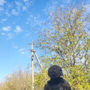 ���������� ������, ���� ������� ����������, 39 ���, ������������ ��� ������, ����� � ���������, ���������