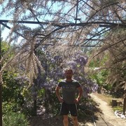  ,   , 40 ,   