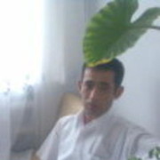 ���������� �������, ���� ������� �����, 43 ����, ������������ ��� ������